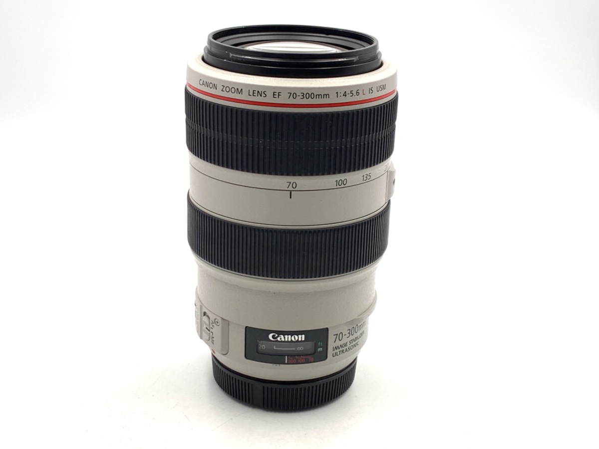 EF 70-300/4-5.6 L IS USM