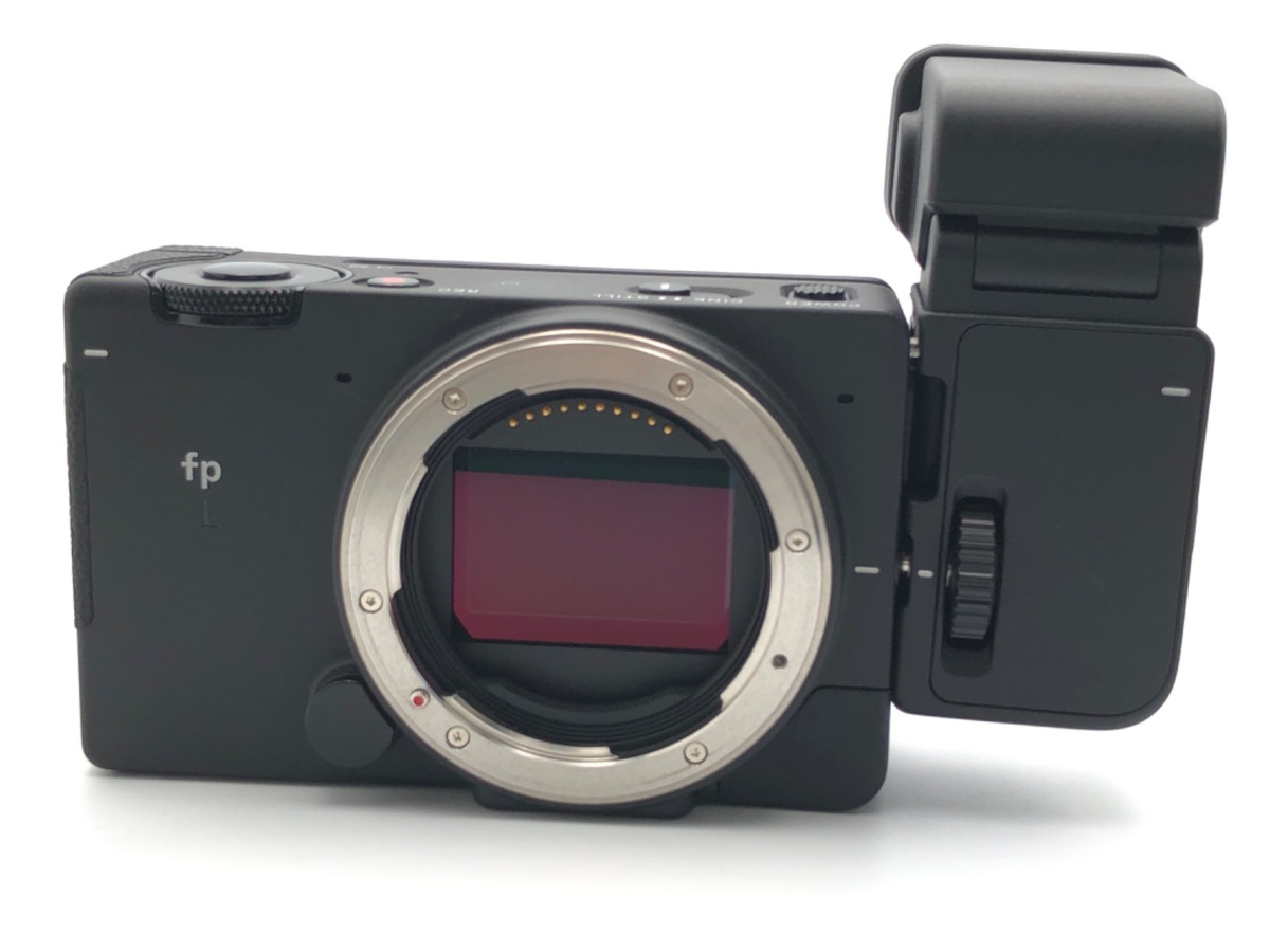 fp L EVF-11 ̧���ް���