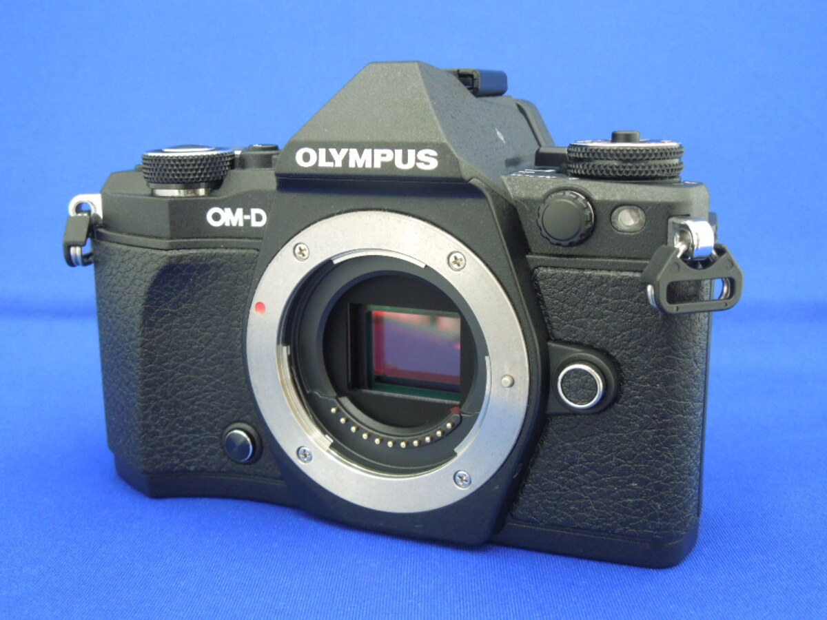 mutiny様 OLYMPUS OM-D E-M5 Mark II ボディ 美品 オリンパス OLYMPUS OM-D E-M5 Mark II ボディ [ブラック] 価格比較