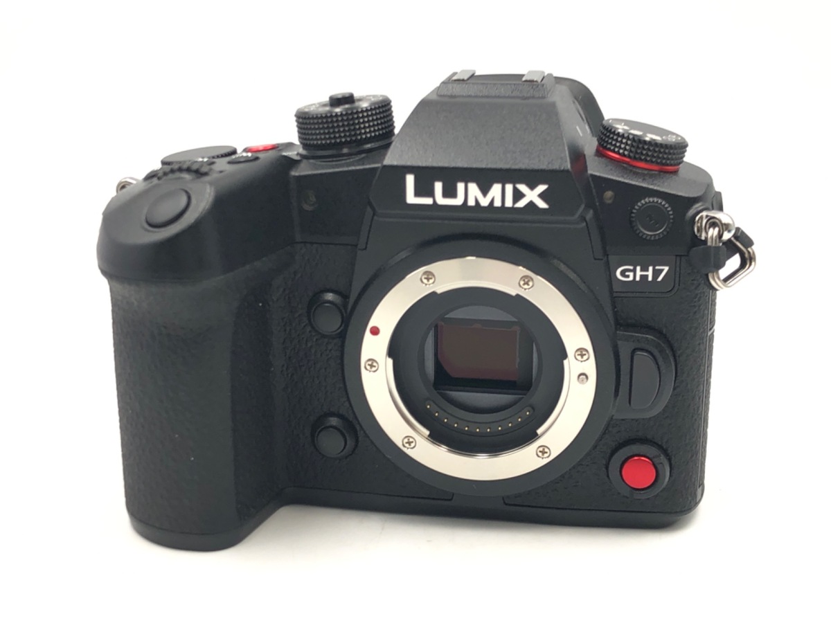 価格.com - パナソニック LUMIX DC-G9 ボディ 純正オプション