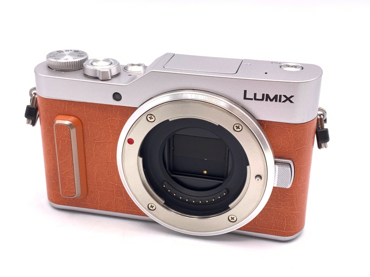 DC-GF10 ���ި ��ݼށy1600����f�z