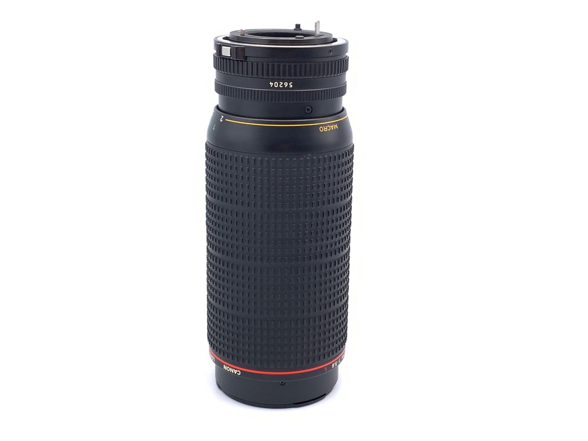 NewFD 100-300/5.6 L