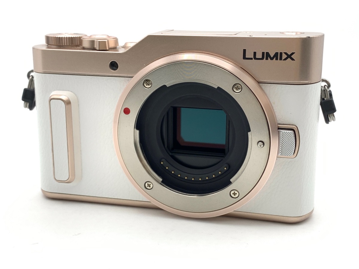 価格.com - パナソニック LUMIX DC-GH6 ボディ 純正オプション