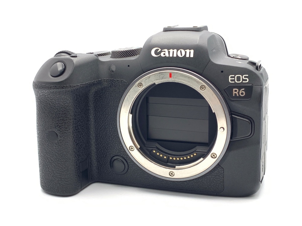 EOS R6 �{�f�B�y2010����f�z