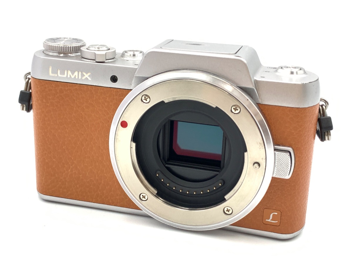 デジタルカメラ Panasonic LUMIX GH5 Amazon.com : Panasonic LUMIX GH5 4K Digital Camera, 20.3