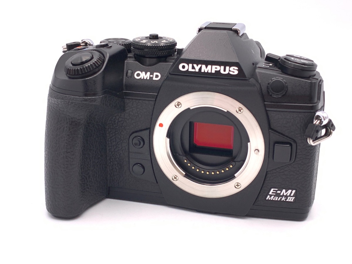 動作確認済 美品OLYMPUS PEN lite E-PL2 ボディ 価格.com - オリンパス OLYMPUS PEN Lite E-PL2 ボディ 価格比較