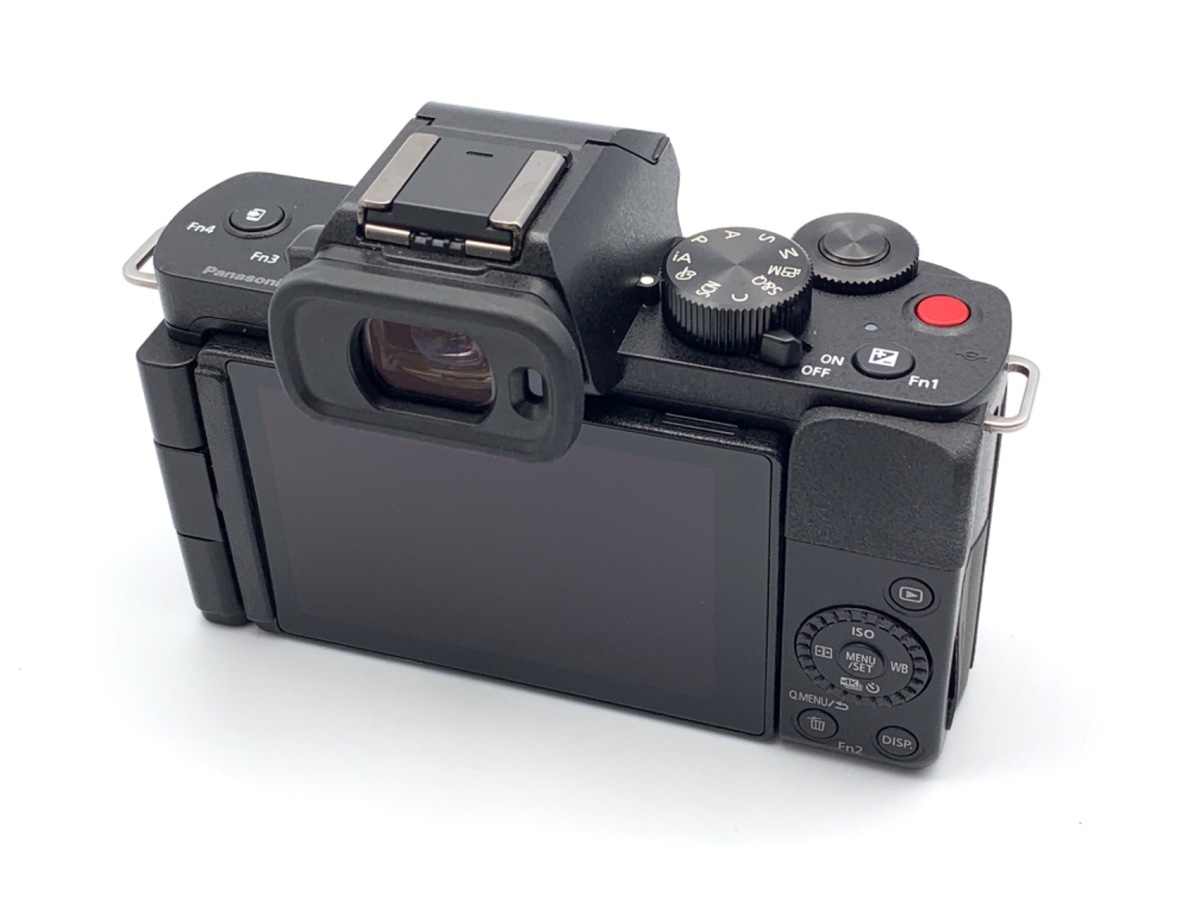 DC-G100 ���ި�y2030����f�z