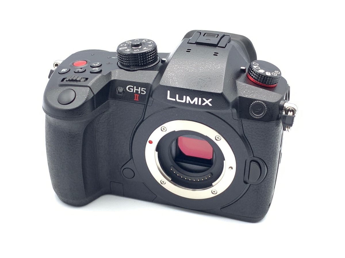 シャッター回数5000以下　LUMIX GH5 ミラーレスカメラ シャッター回数5000以下 LUMIX GH5 ミラーレスカメラ - メルカリ
