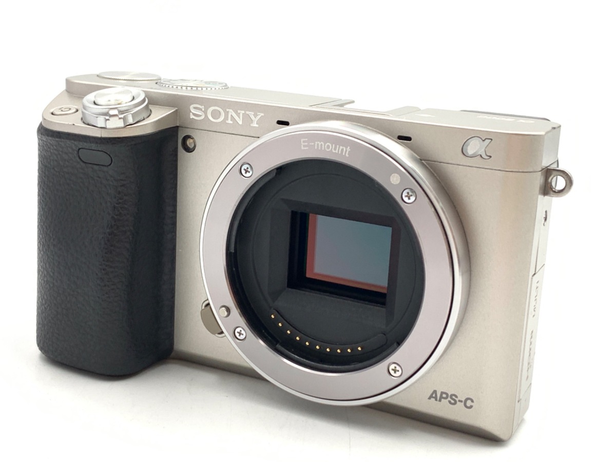 【ジャンク品】SONYα6000 本体のみ SONY α6000 本体 【公式通販】