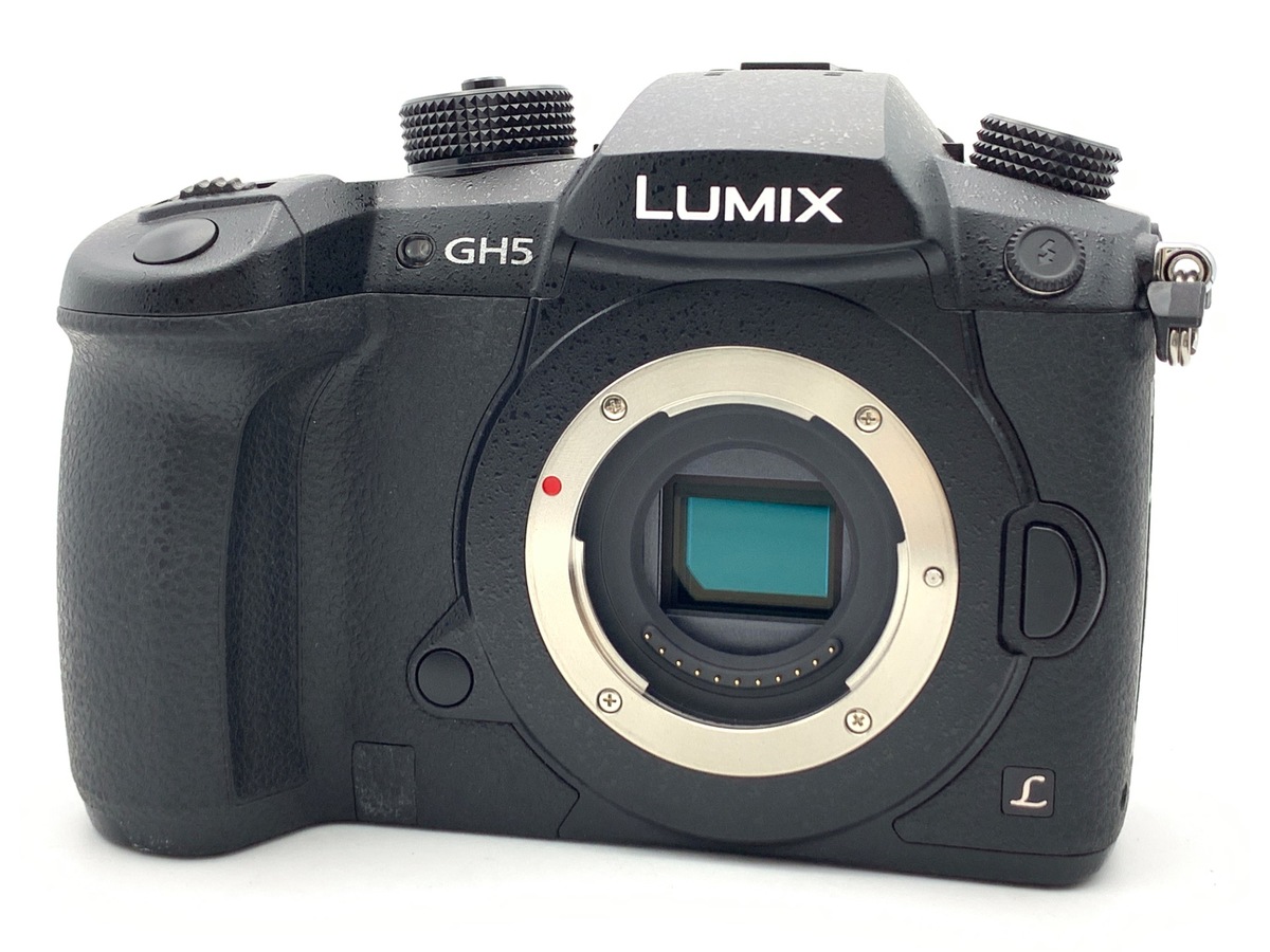 価格.com - パナソニック LUMIX DC-G100DW ダブルズームレンズ