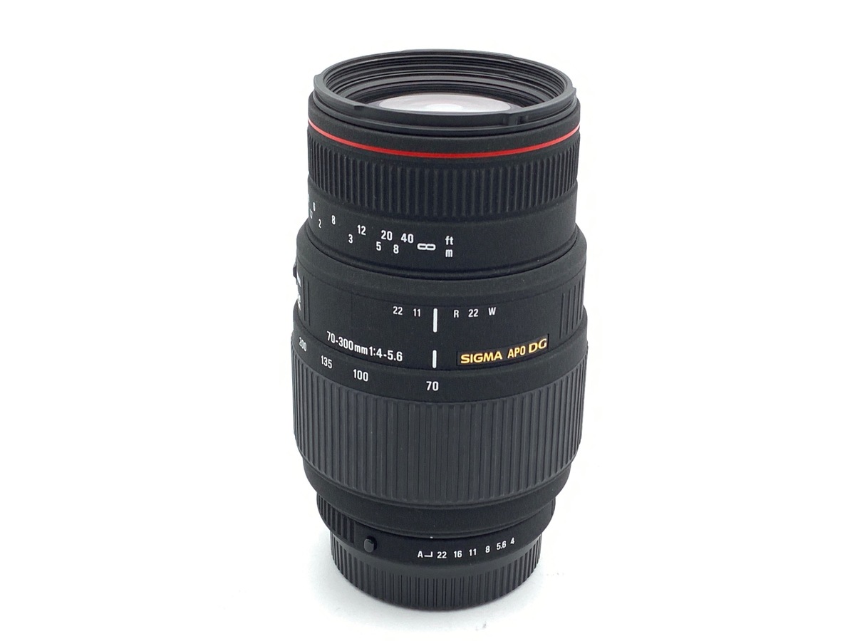 APO 70-300/4-5.6  DG MACRO