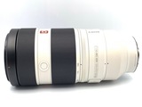 SONY FE100-400mm f4.5〜5.6 GM　OSS⭐︎美品 Sony FE 100-400mm F4.5-5.6 GM OSS: Digital Photography Review