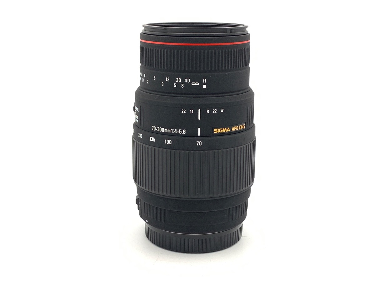 APO 70-300/4-5.6  DG MACRO