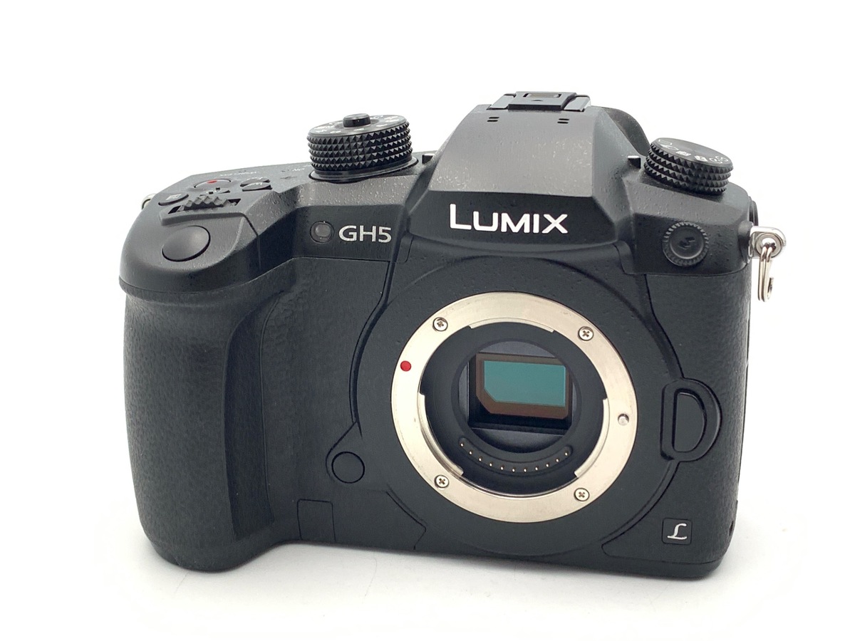 価格.com - パナソニック LUMIX DMC-GF3 ボディ 純正オプション