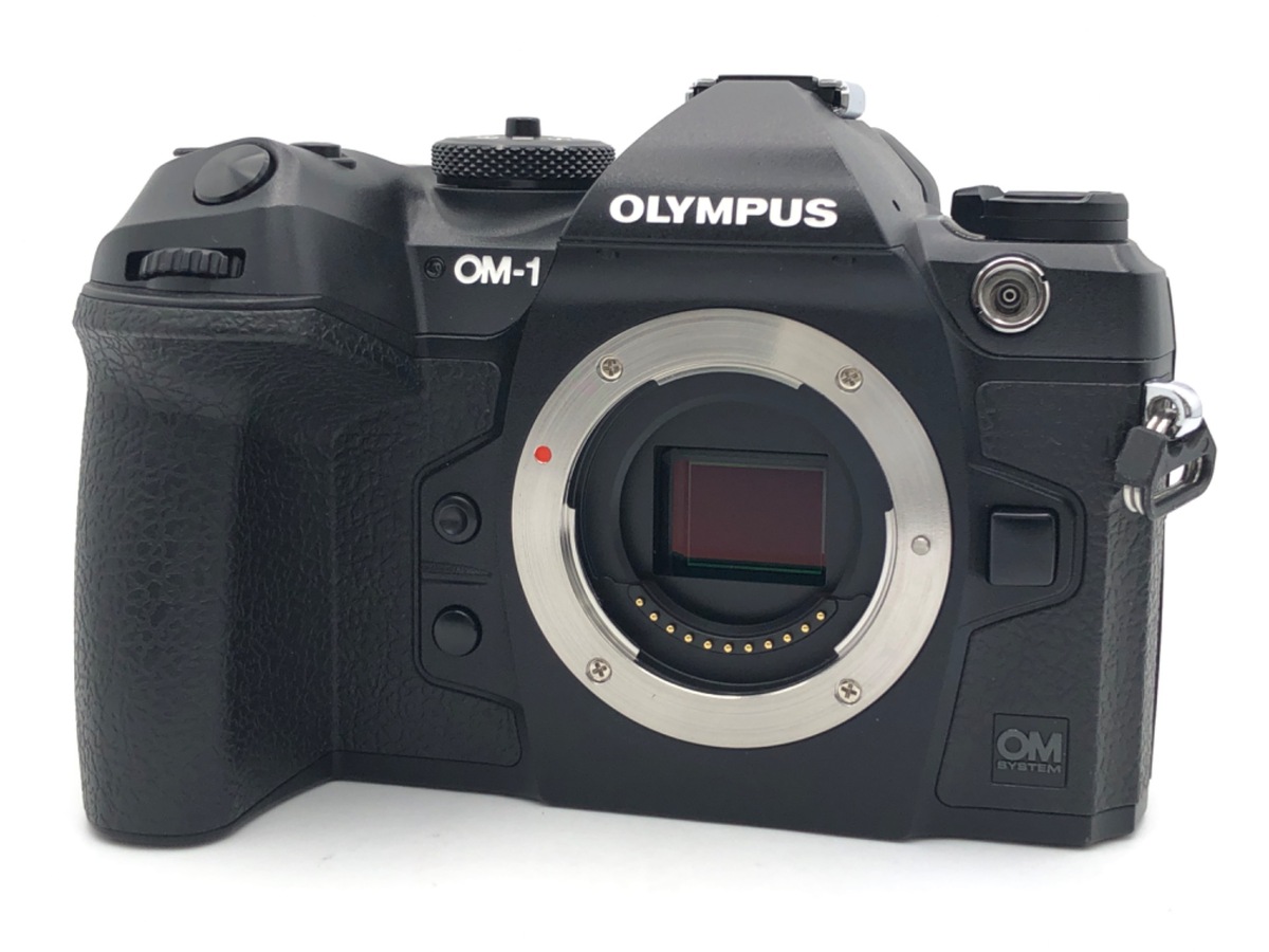 OM SYSTEM OM-1 �{�f�B