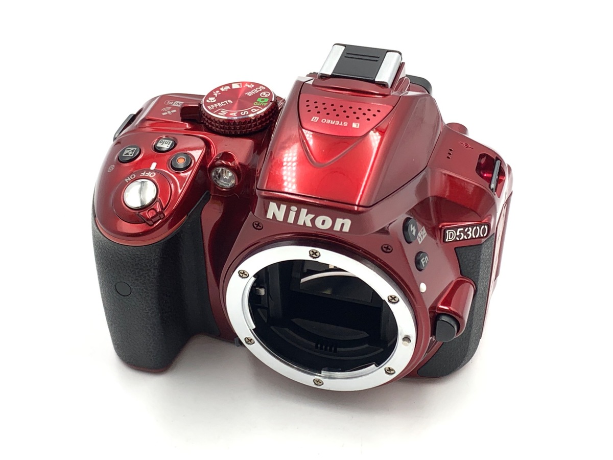 D5300 ���ި گ�ށy2416����f�z