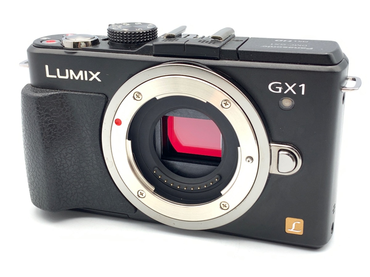 Panasonic GX1 Review