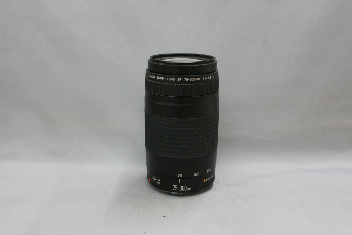中古】EF 75-300/4-5.6 II 在庫一覧｜カメラのキタムラ