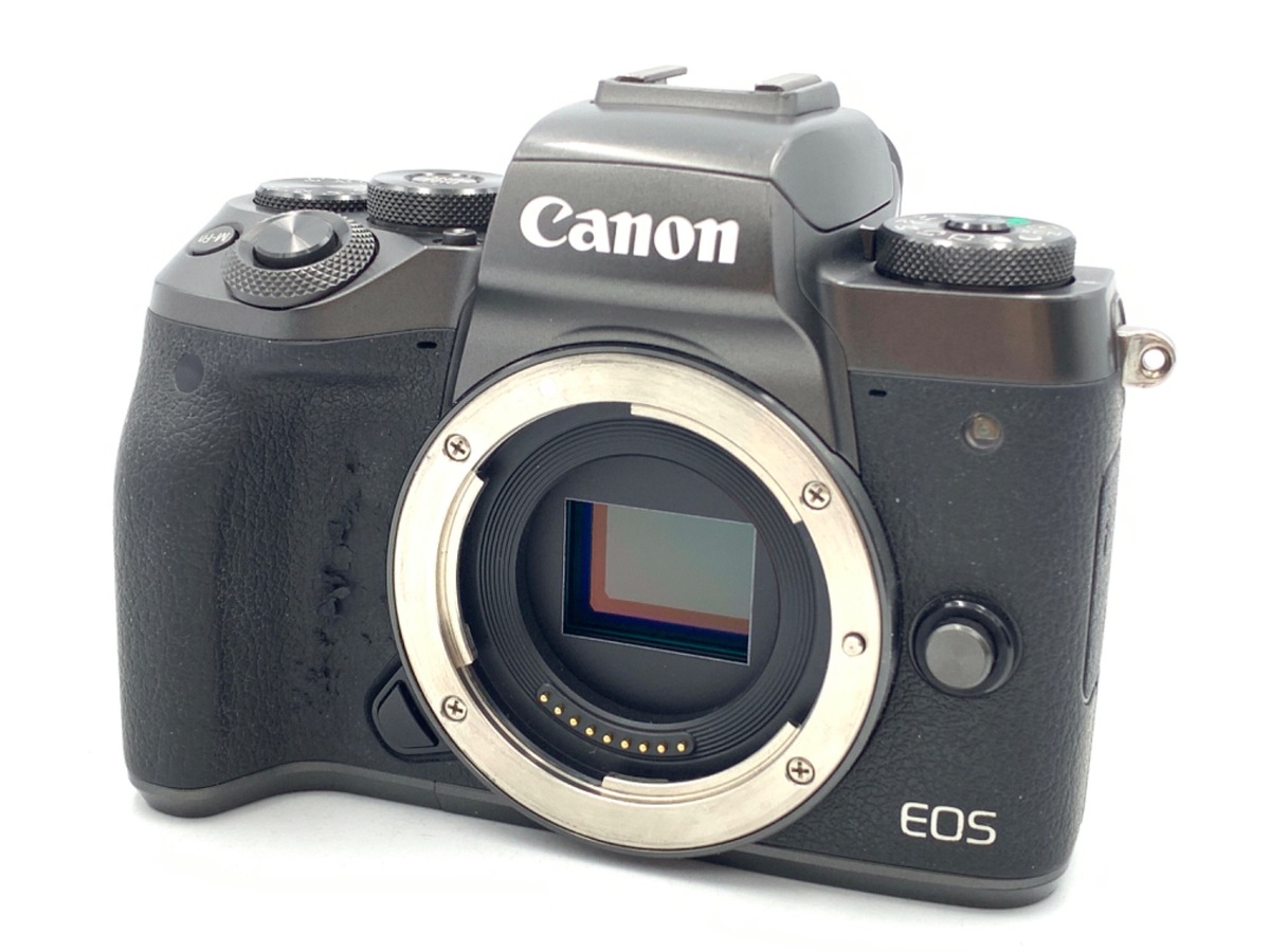 Amazon.com : Canon Cameras US EOS M5 Body 24.2 Digital SLR
