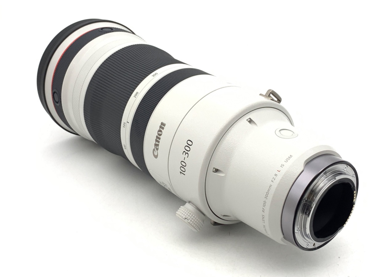 RF100-300mm F2.8 L IS USM