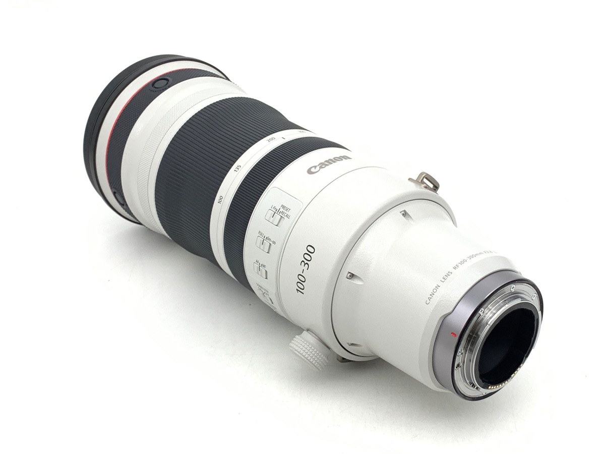 �L���m�� RF100-300mm F2.8 L IS USM