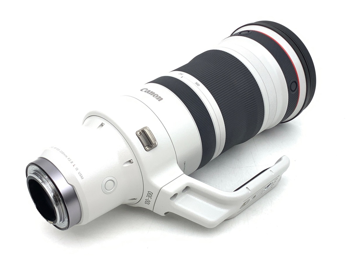 �L���m�� RF100-300mm F2.8 L IS USM