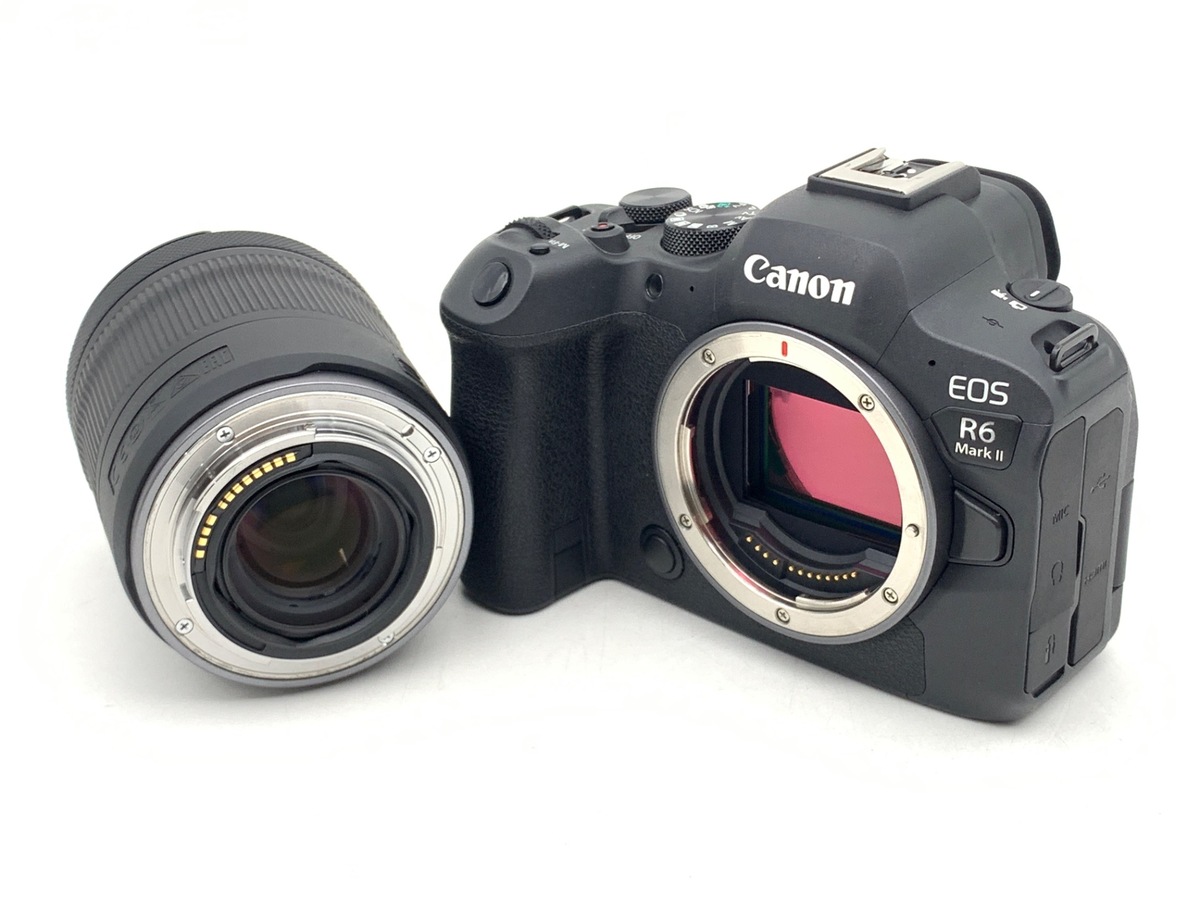 EOS R6 MarkII RF24-105 IS STM �����Y�L�b�g