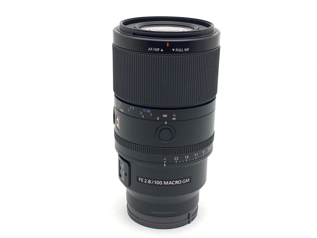 FE 100mm F2.8 Macro GM OSS [SEL100M28G]