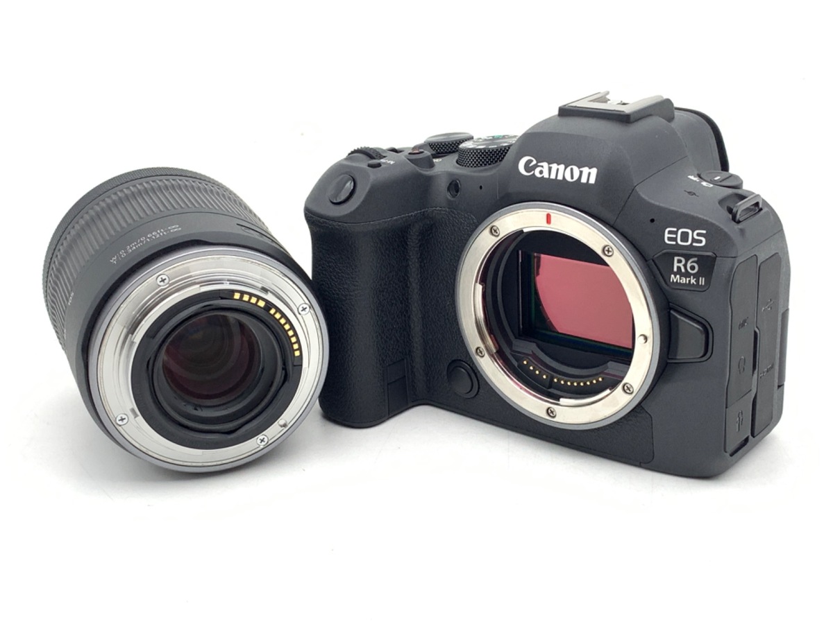 EOS R6 MarkII RF24-105 IS STM �����Y�L�b�g