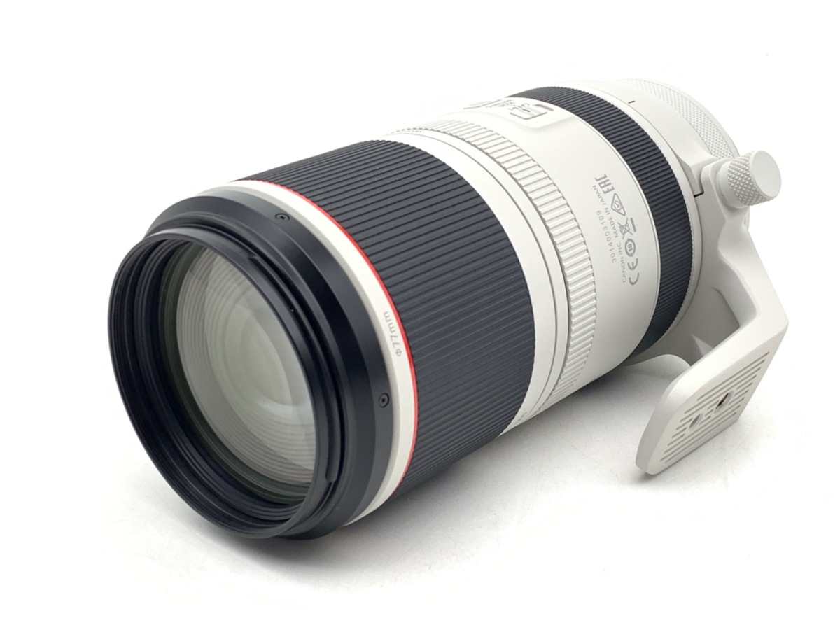 RF 100-500/4.5-7.1 L IS USM