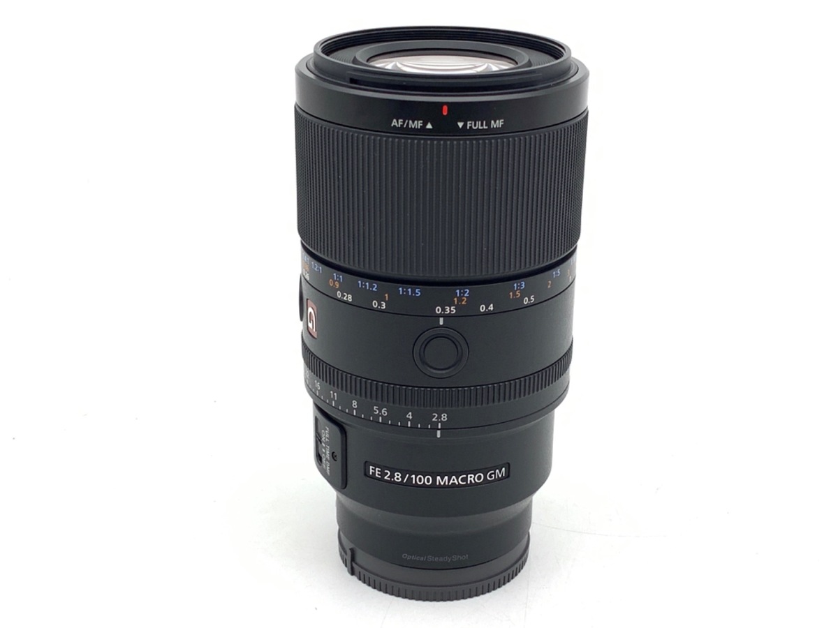 FE 100mm F2.8 Macro GM OSS [SEL100M28G]