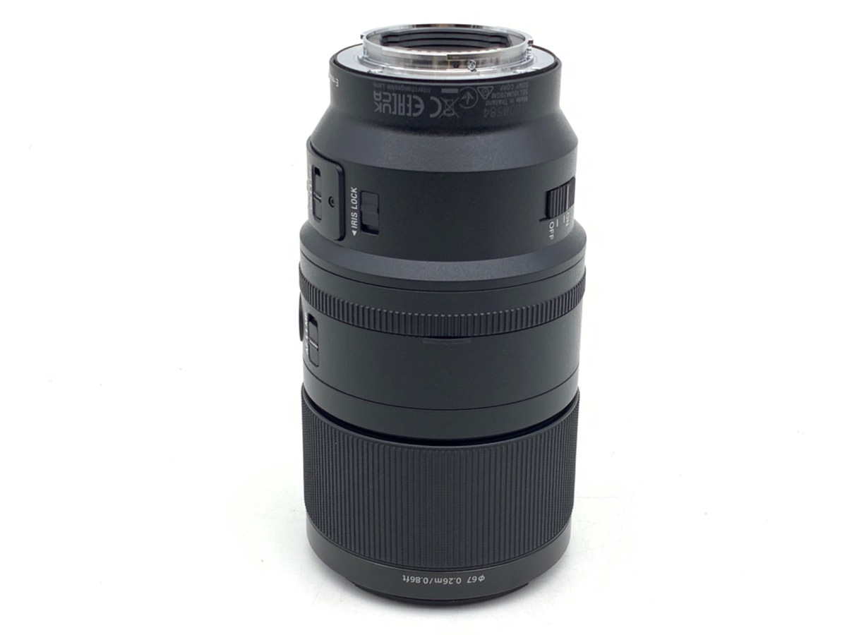 FE 100mm F2.8 Macro GM OSS [SEL100M28G]