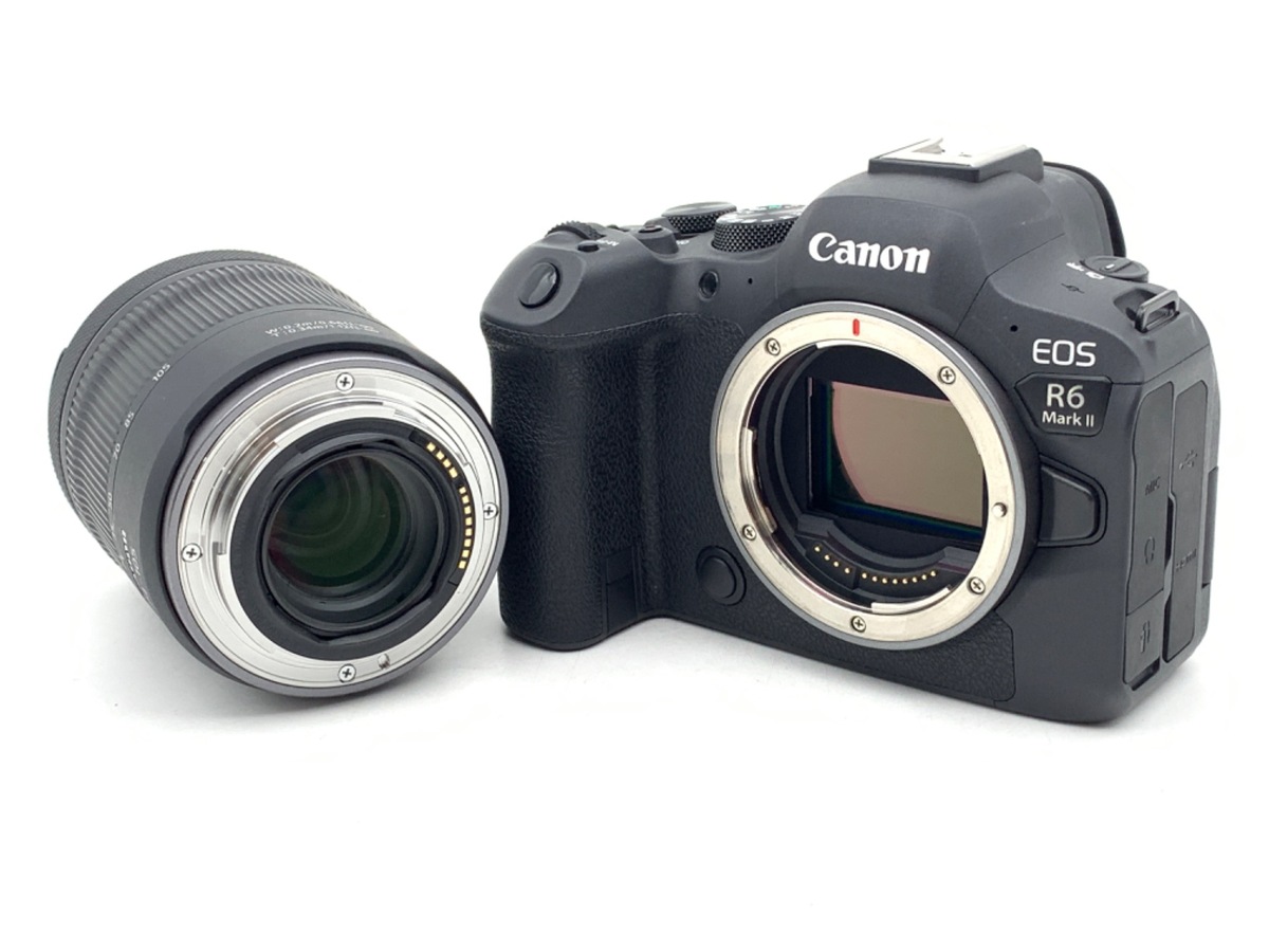 EOS R6 MarkII RF24-105 IS STM �����Y�L�b�g