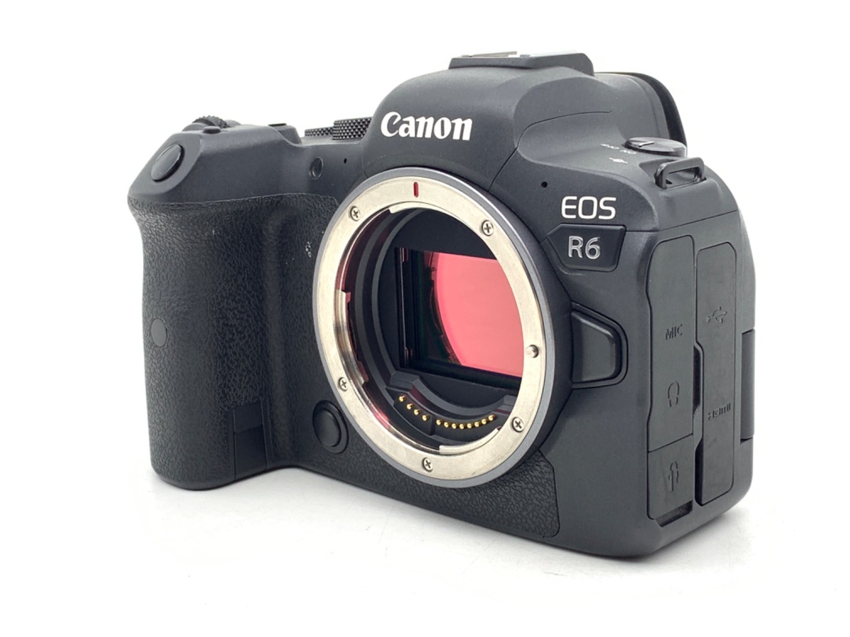 EOS R6 �{�f�B�y2010����f�z