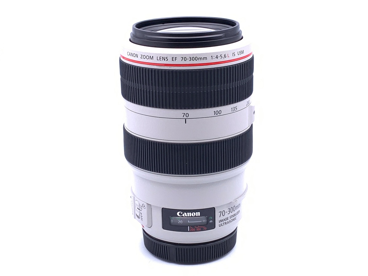 Canon EF 70-300mm f/4-5.6 IS USM Lens Review