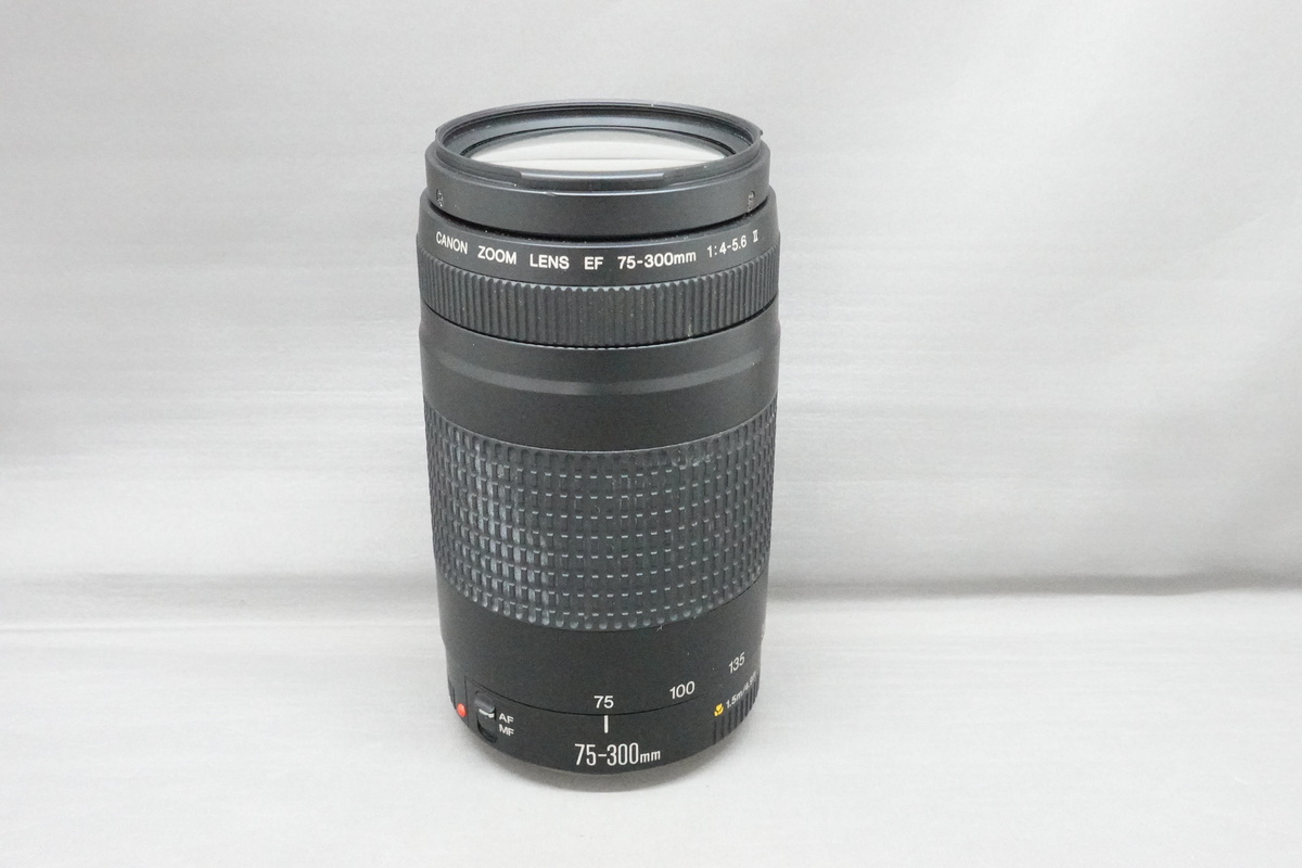 中古】キヤノン EF 75-300mm F4-5.6 II 在庫一覧｜カメラのキタムラ