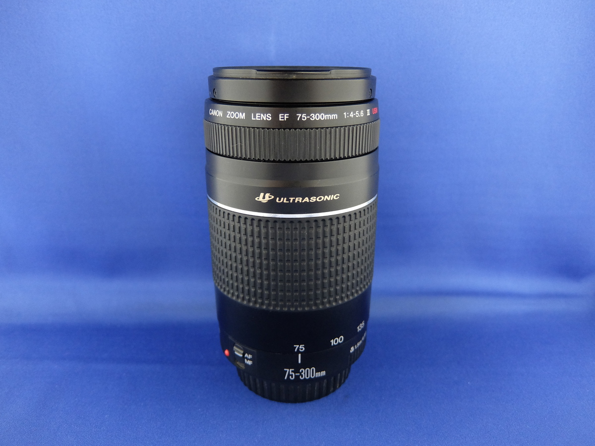 中古】キヤノン（CANON） EF 75-300/4-5.6 在庫一覧｜カメラのキタムラ