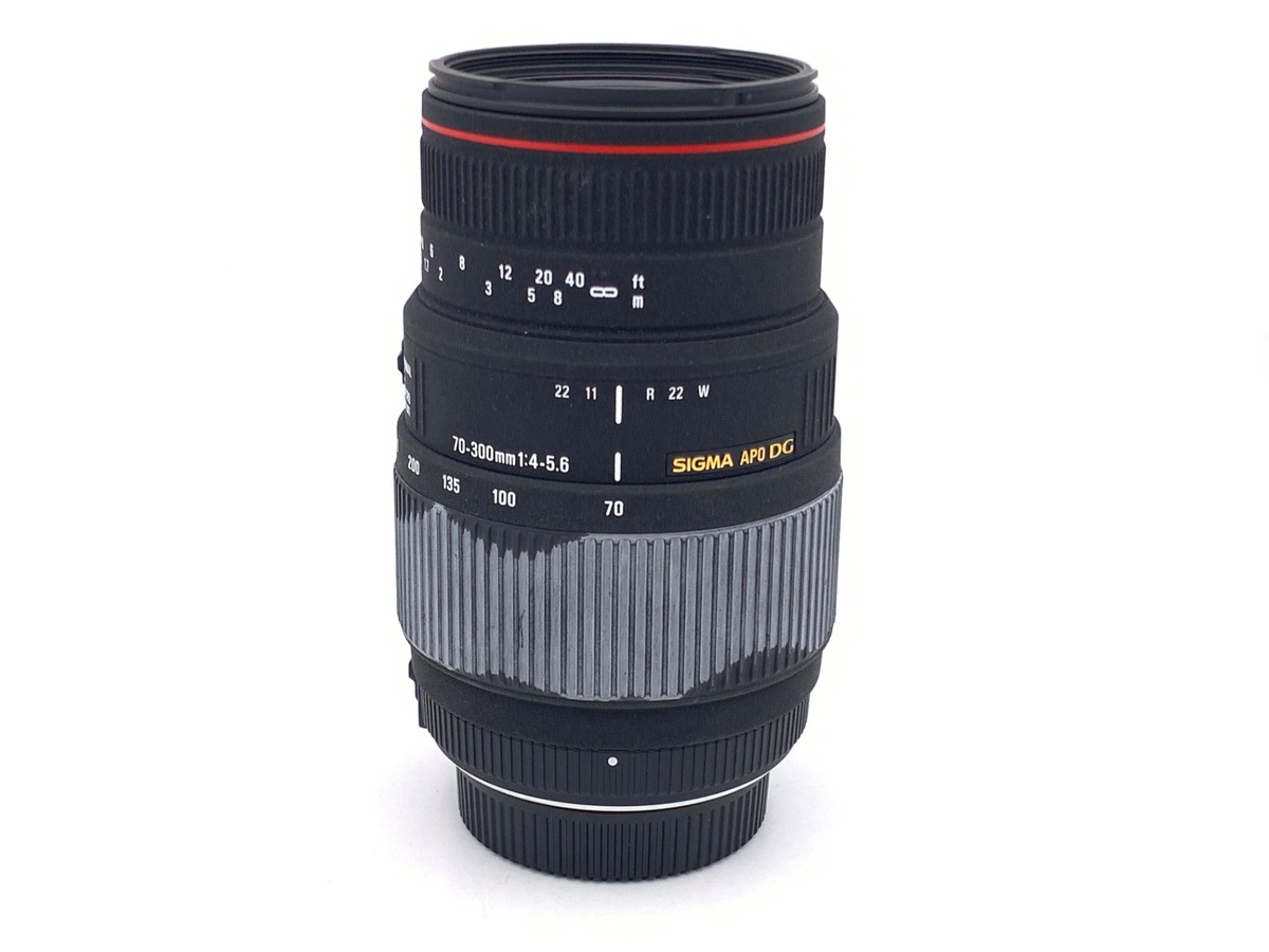 APO 70-300/4-5.6 ニコン DG MACRO