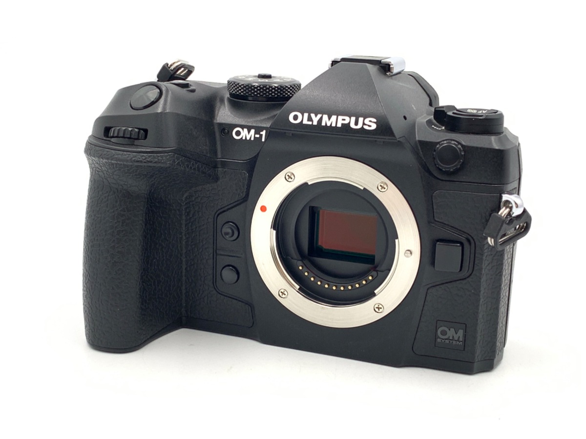 OM SYSTEM OM-1　中古美品　シャッター回数3957 OM SYSTEM OM-1 中古美品 シャッター回数3957 - メルカリ