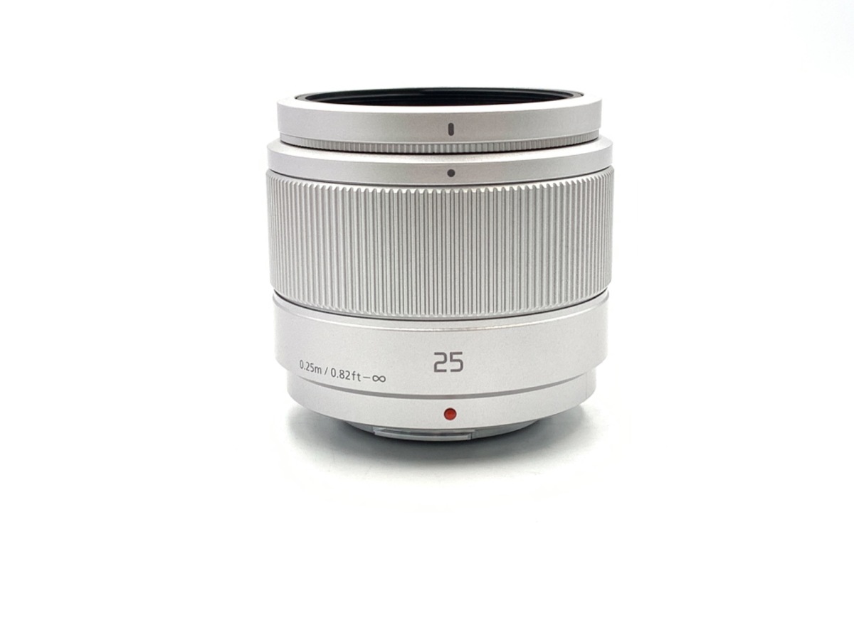 Amazon.com : Panasonic LUMIX G VARIO 100-300mm F4.0-5.6 MEGA