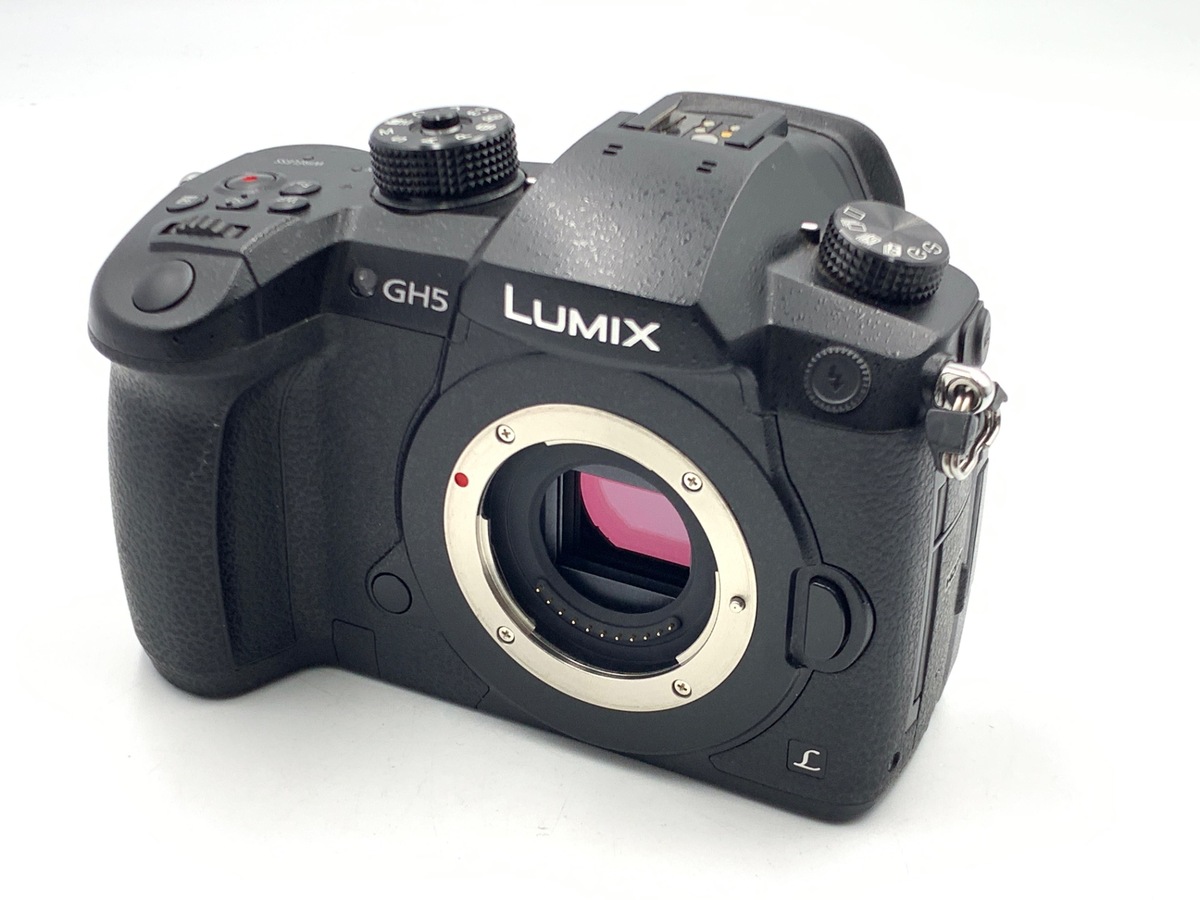 価格.com - パナソニック LUMIX DC-G100DW ダブルズームレンズキット