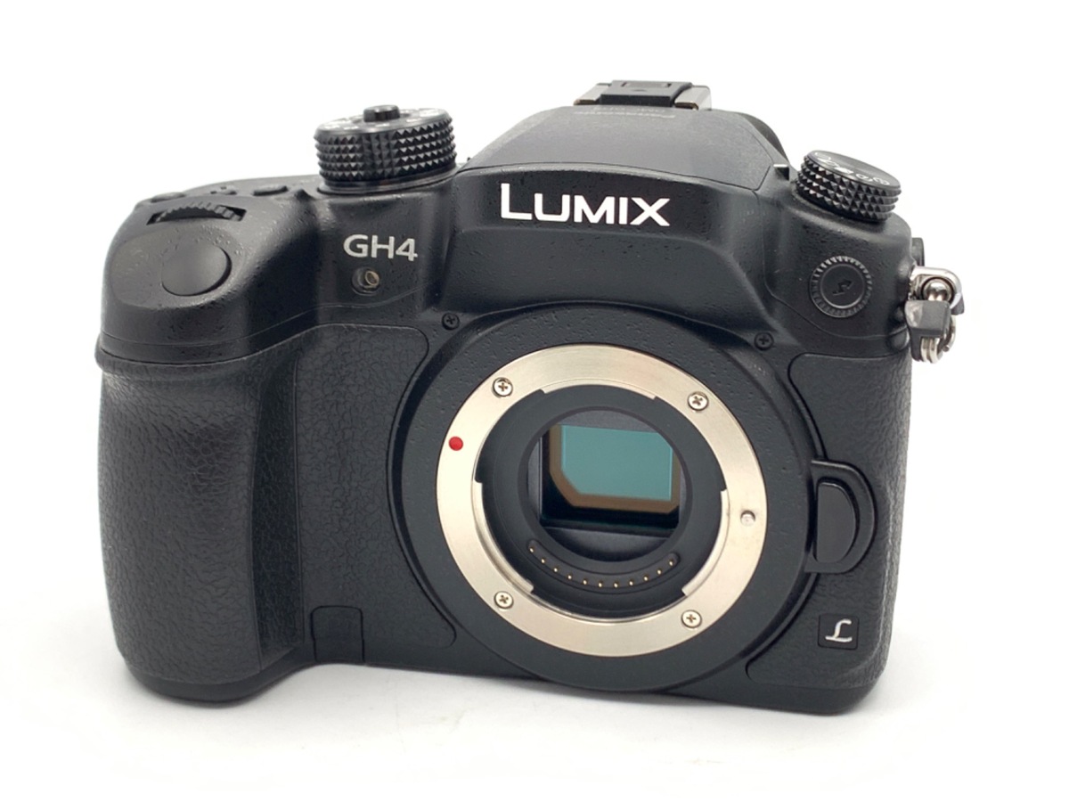 パナソニック ミラーレス一眼カメラ LUMIX G3 ボディ エスプリ