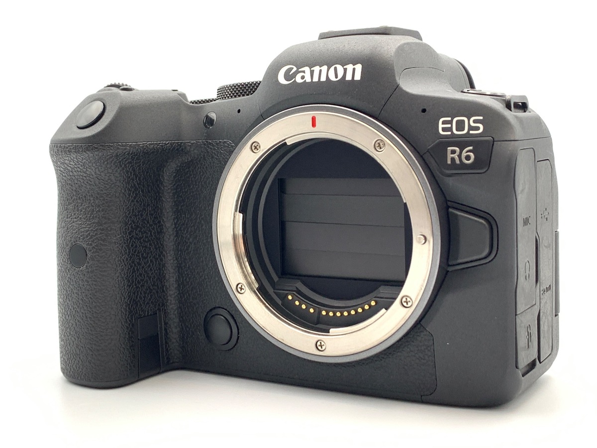 EOS R6 �{�f�B�y2010����f�z