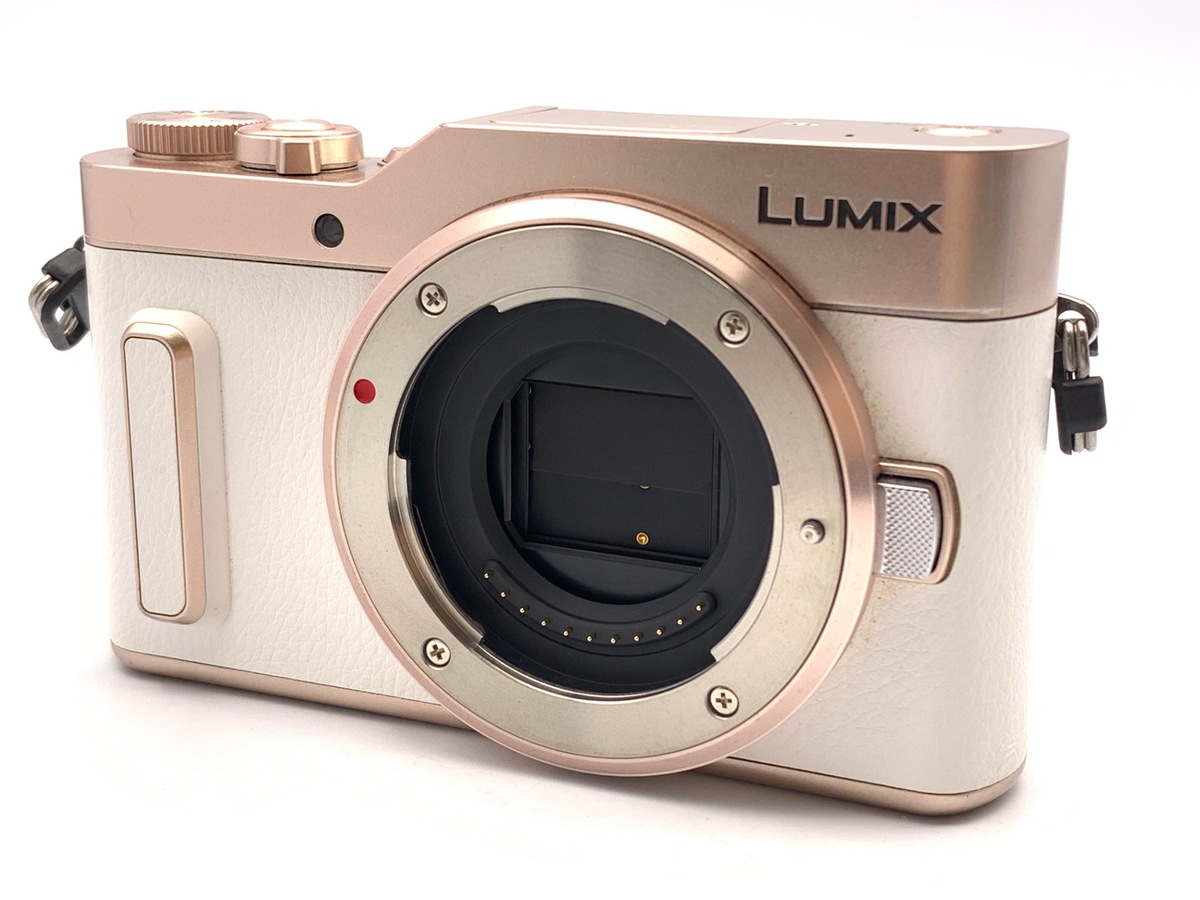 価格.com - パナソニック LUMIX DC-G99 ボディ 純正オプション