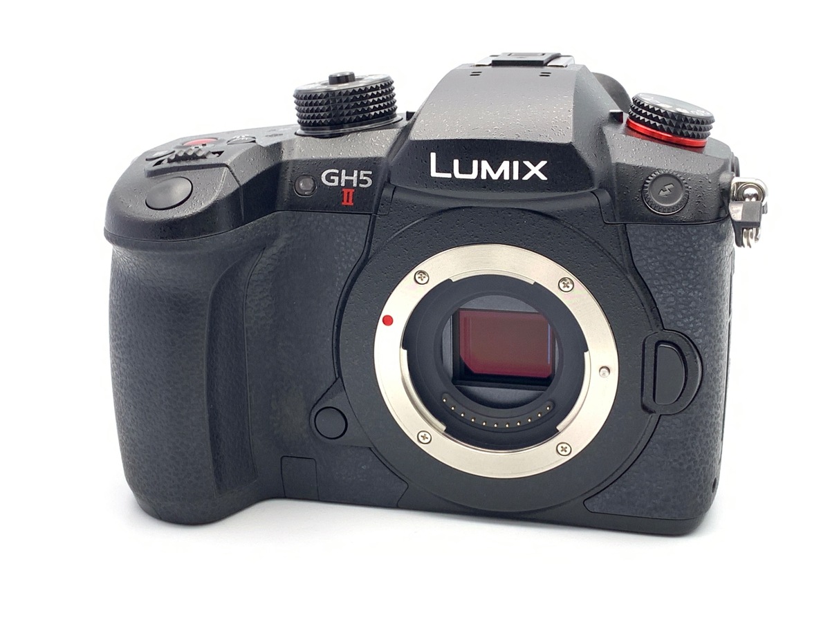 価格.com - パナソニック LUMIX DC-BGH1 ボディ 純正オプション