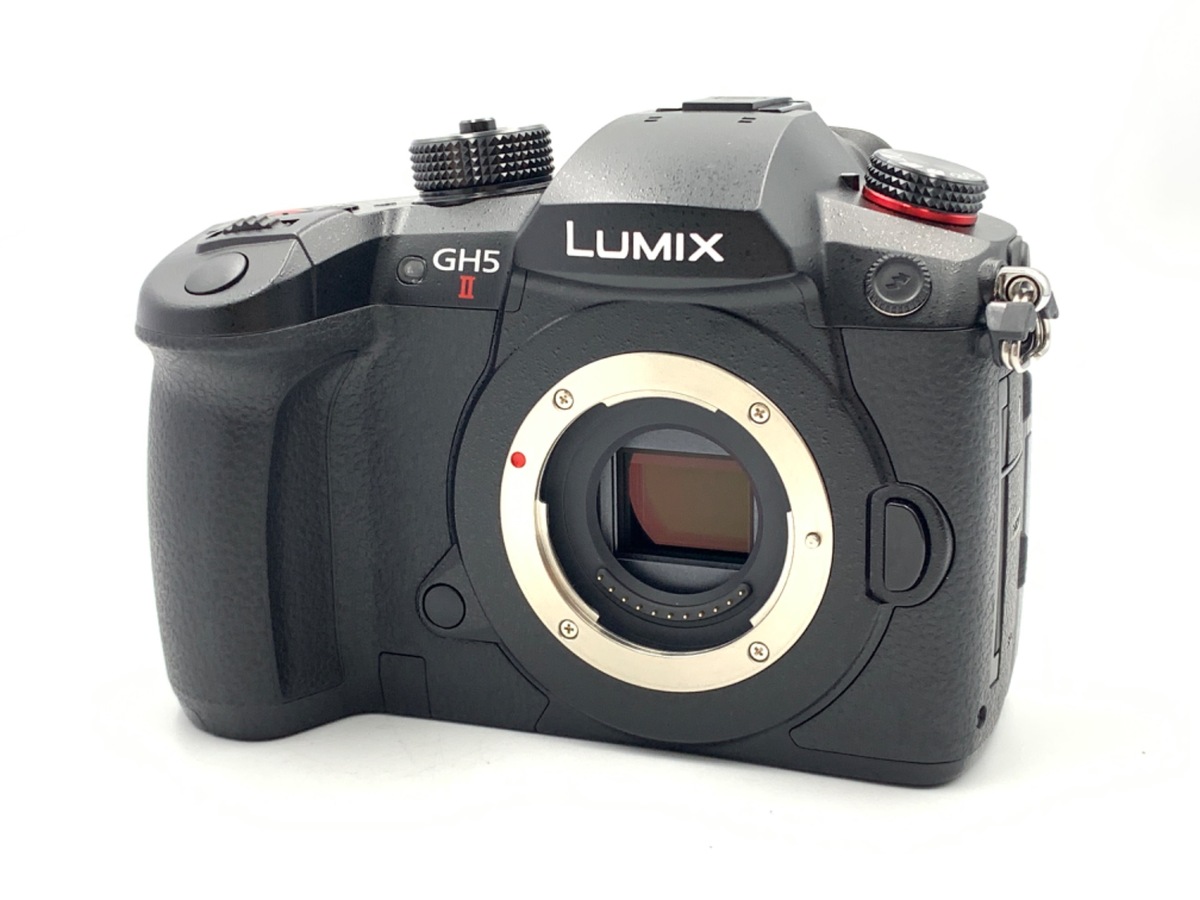 価格.com - パナソニック LUMIX DMC-GF3 ボディ 純正オプション