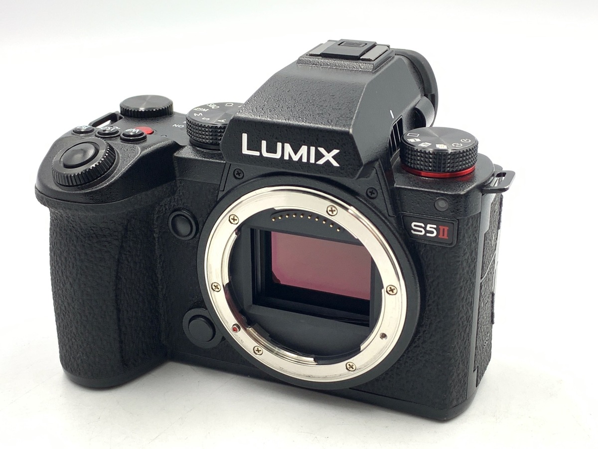 Panasonic LUMIX DMC-GF5 パナソニック 14-42mm