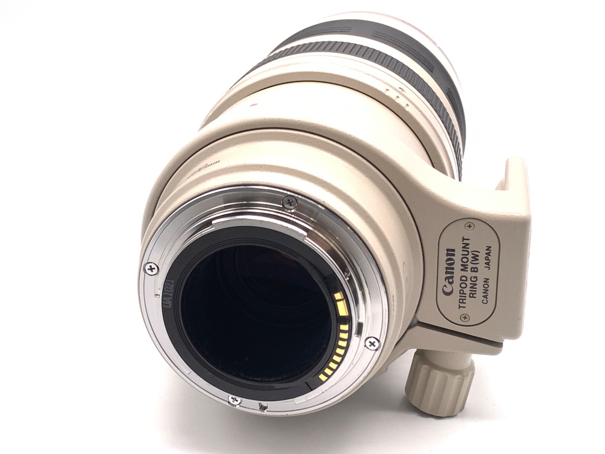 EF 100-400/4.5-5.6 L IS USM