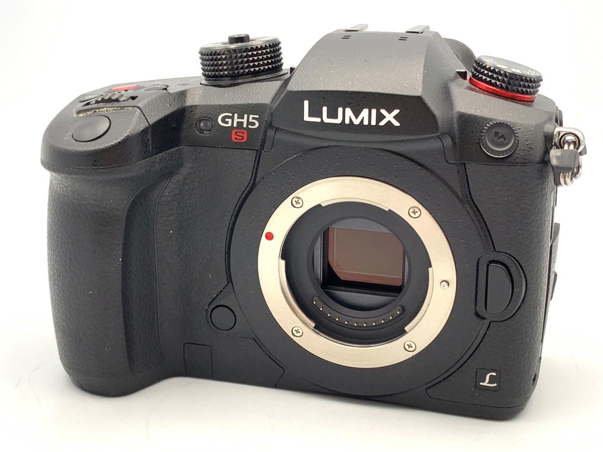 価格.com - パナソニック LUMIX DC-G9 ボディ 純正オプション