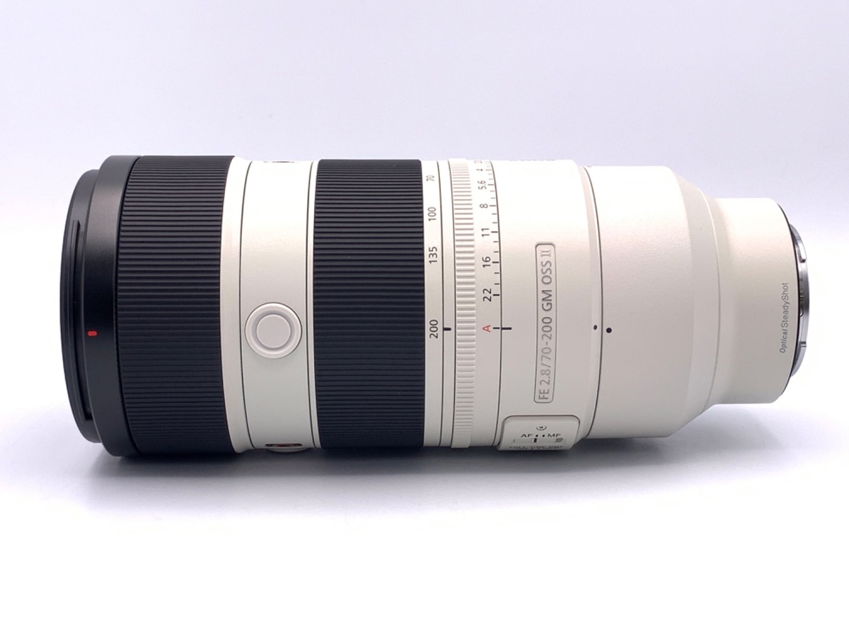 SONY】相性抜群！α7CⅡ×FE 70-200mm F2.8 GM OSS II | THE MAP TIMES